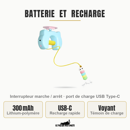 Batterie et recharge de La Chenille Royale : 300 mAh lithium-polymère, recharge USB-C