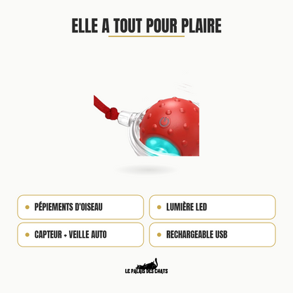 Atouts de la Crazy Balle : pépiements d'oiseau, lumière LED, capteur et veille automatique, rechargeable USB