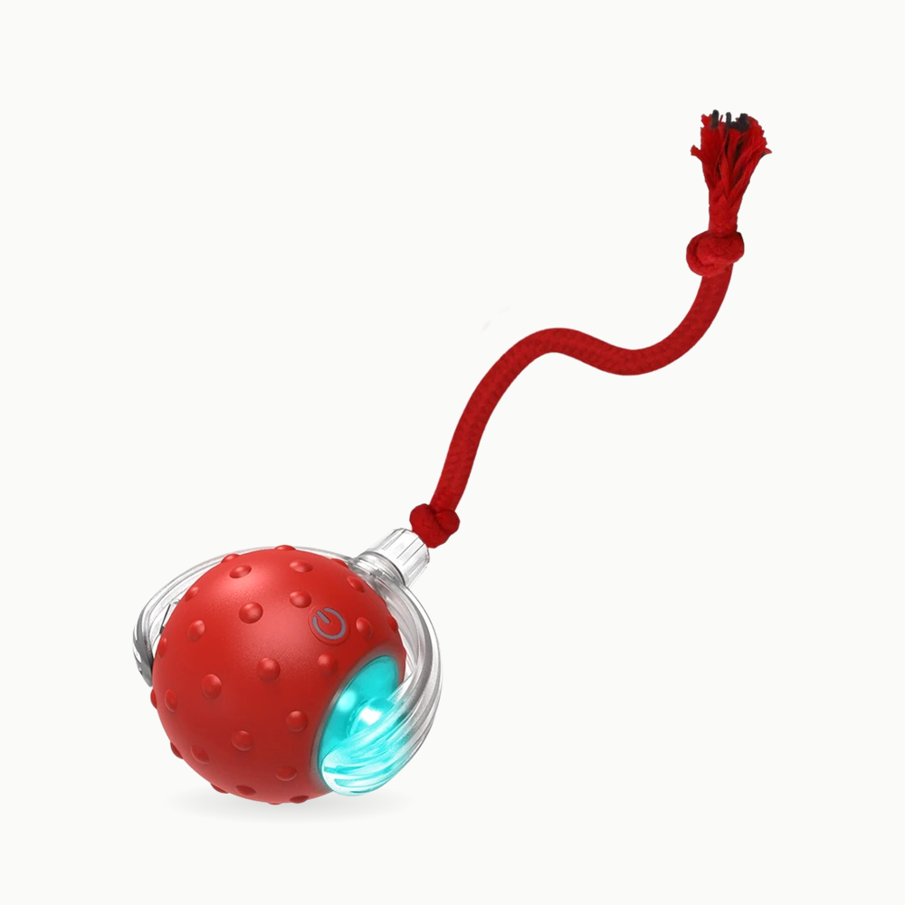 Balle interactive auto-rotative rouge Crazy Balle avec sa longue queue tressée et LED - Le Palais des Chats