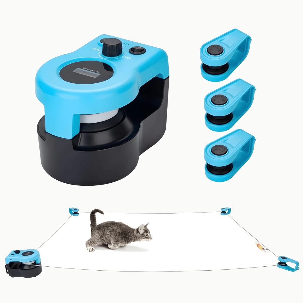 Le boîtier moteur bleu et noir avec sa molette de vitesse, les trois pinces de fixation, et en dessous le fil tendu au ras du sol qu'un chaton tigré guette à l'affût