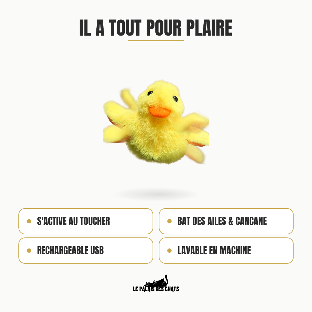 Atouts du canard interactif Miaou’Duck : s'active au toucher, bat des ailes, cancane, rechargeable USB, lavable