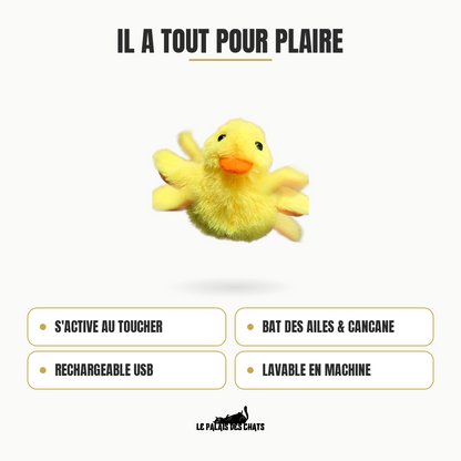 Atouts du canard interactif Miaou’Duck : s'active au toucher, bat des ailes, cancane, rechargeable USB, lavable