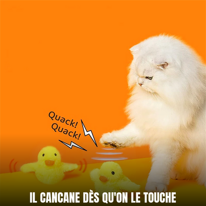 Le canard Miaou’Duck cancane et bat des ailes dès qu'un chat le touche