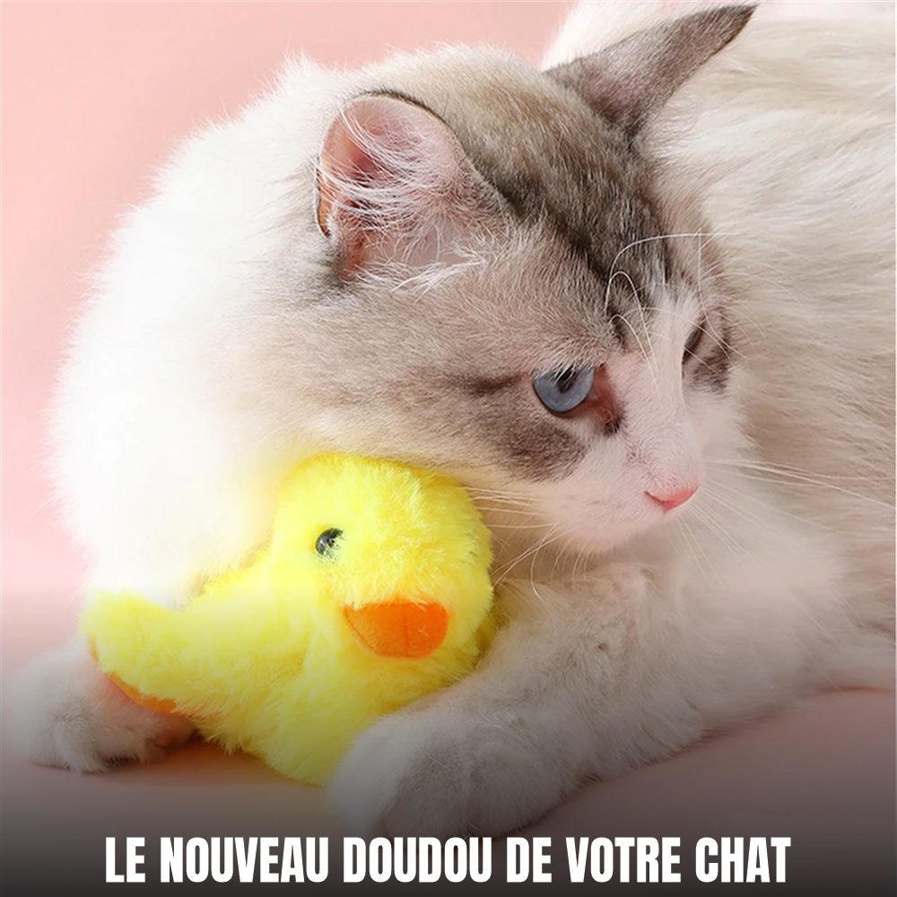 Chat câlinant son canard en peluche Miaou’Duck
