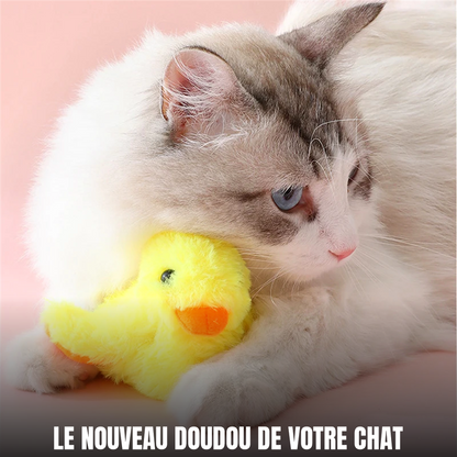 Chat câlinant son canard en peluche Miaou’Duck