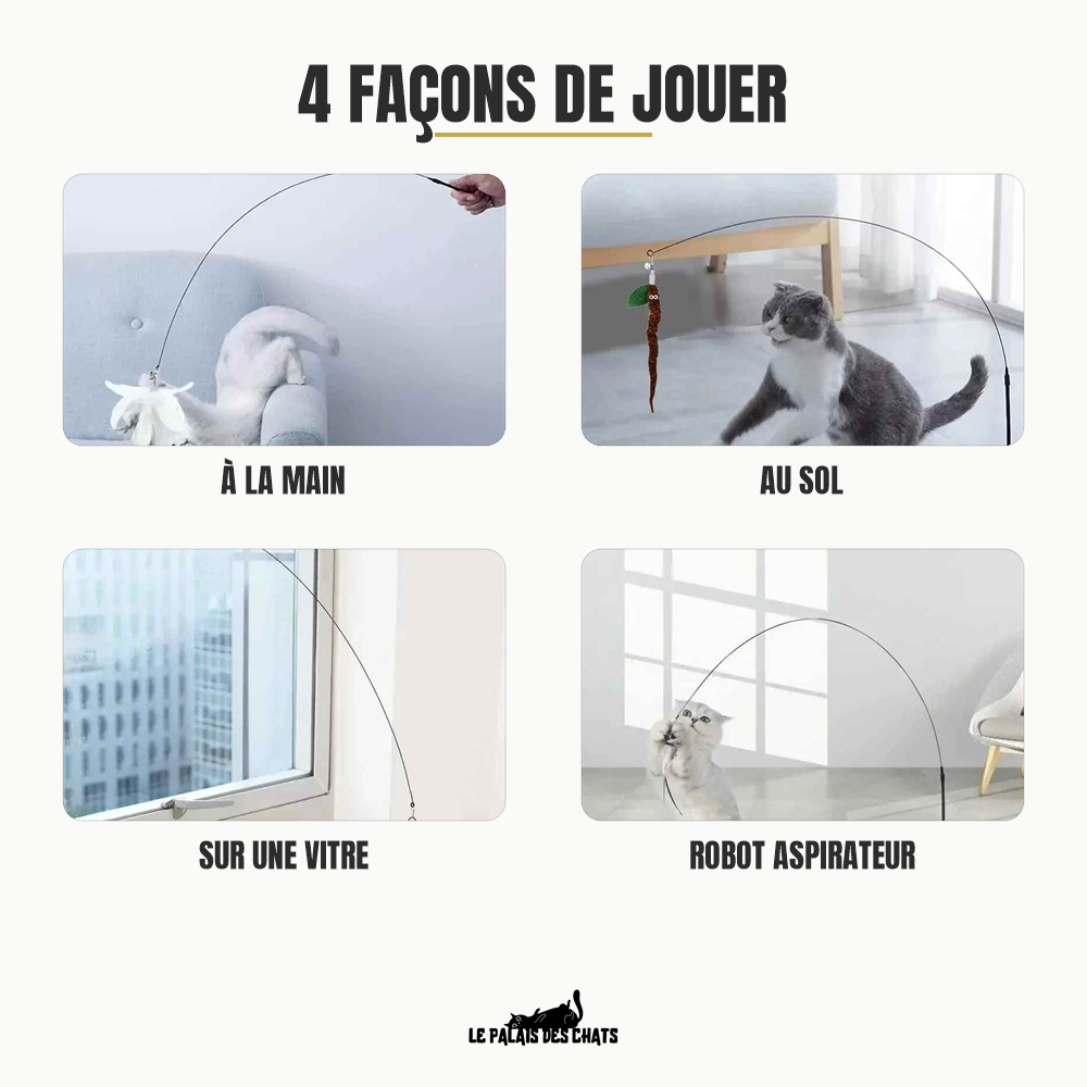 4 façons de jouer avec L'Oiseau Farceur : à la main, au sol, sur une vitre ou sur le robot aspirateur