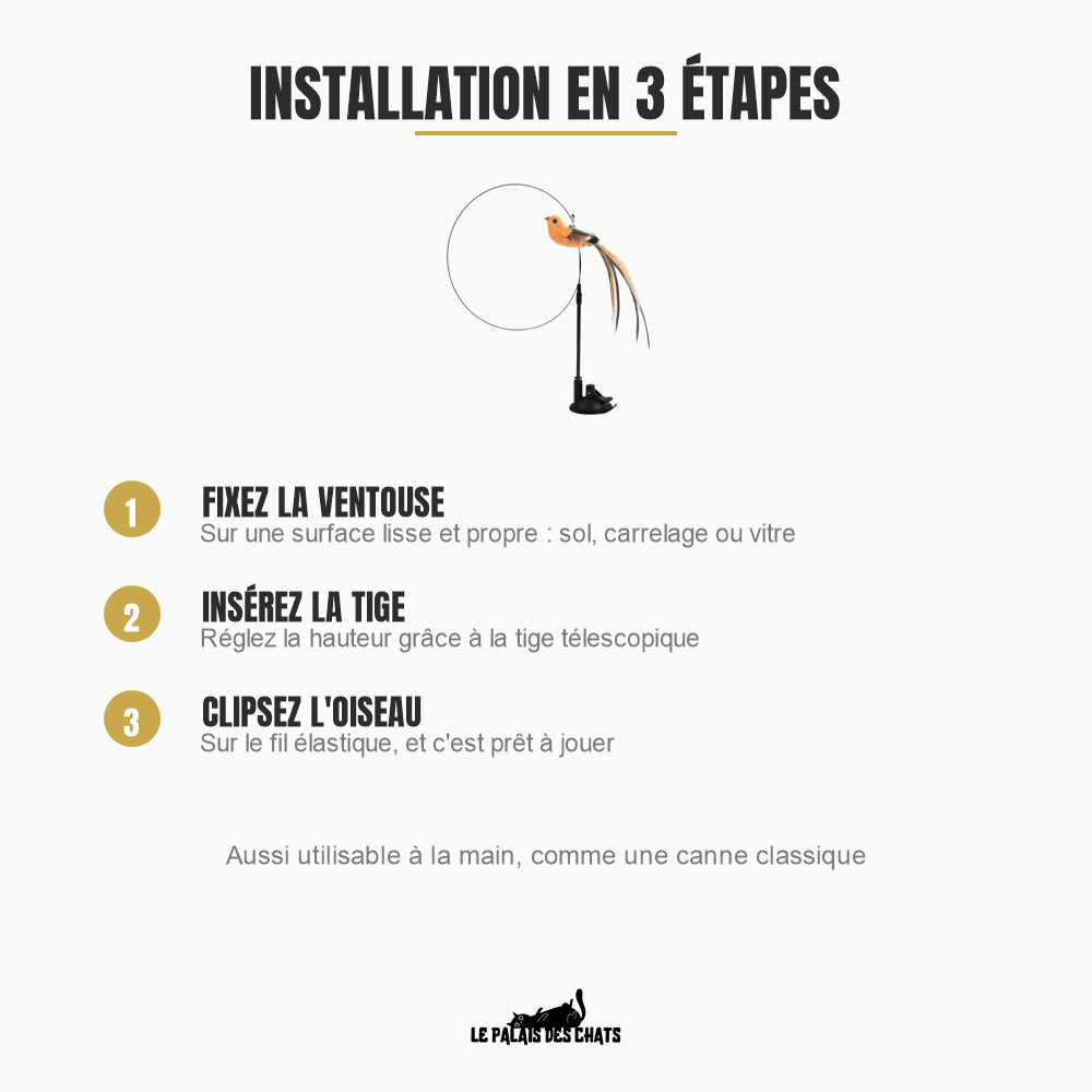 Installation de L'Oiseau Farceur en 3 étapes : ventouse, tige télescopique, oiseau