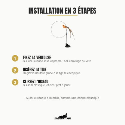 Installation de L'Oiseau Farceur en 3 étapes : ventouse, tige télescopique, oiseau