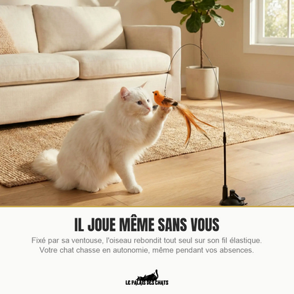 L'Oiseau Farceur joue tout seul grâce à sa ventouse, même quand vous n'êtes pas là