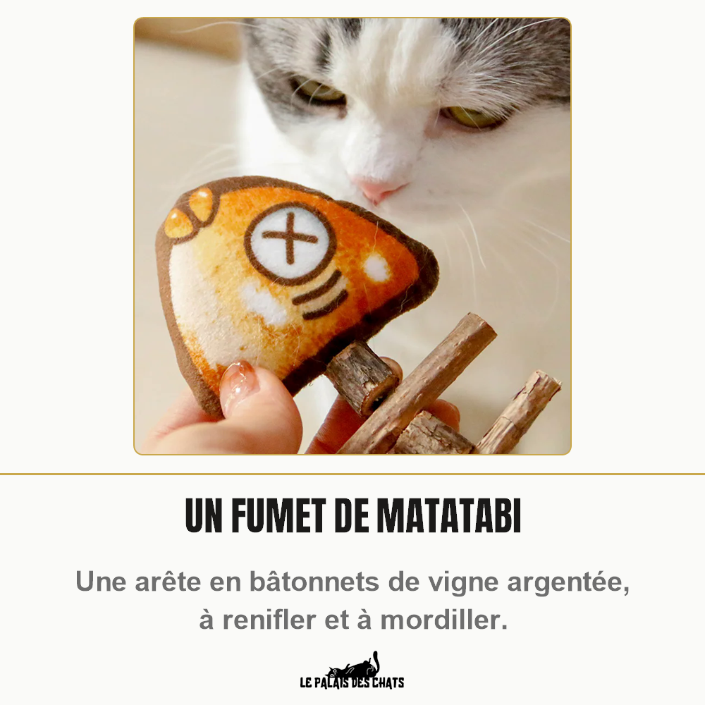 Chat blanc et gris qui renifle la tête en peluche du jouet poisson grillé Le Festin du Roi, tenue à la main, l'arête en bâtonnets de matatabi au premier plan