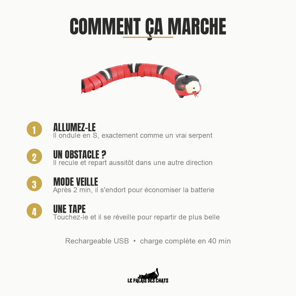 Comment fonctionne le serpent électronique pour chat : il ondule, recule, passe en veille et se réveille au toucher