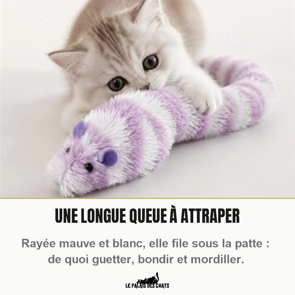 Chaton qui attrape la longue queue rayée de la souris en peluche Princesse Guimauve