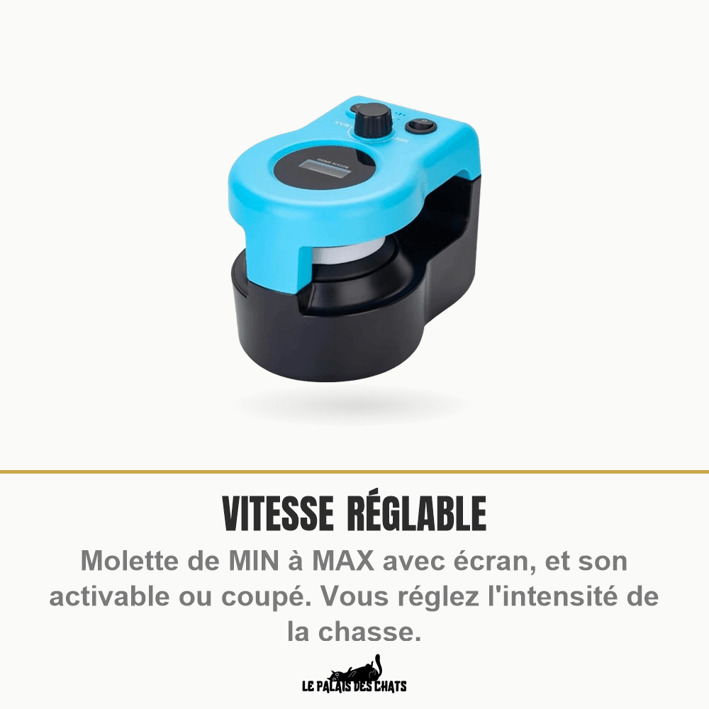 Jouet interactif électrique pour chat à leurre et télécommande | Attrape-Moi Si Tu Peux - Le Palais des Chats