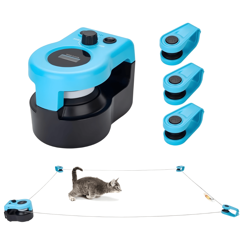 Jouet interactif électrique pour chat à leurre et télécommande | Attrape-Moi Si Tu Peux - Le Palais des Chats