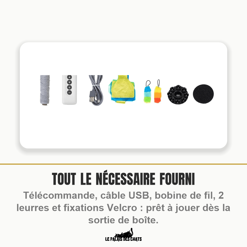 Jouet interactif électrique pour chat à leurre et télécommande | Attrape-Moi Si Tu Peux - Le Palais des Chats