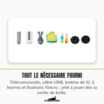 Jouet interactif électrique pour chat à leurre et télécommande | Attrape-Moi Si Tu Peux - Le Palais des Chats