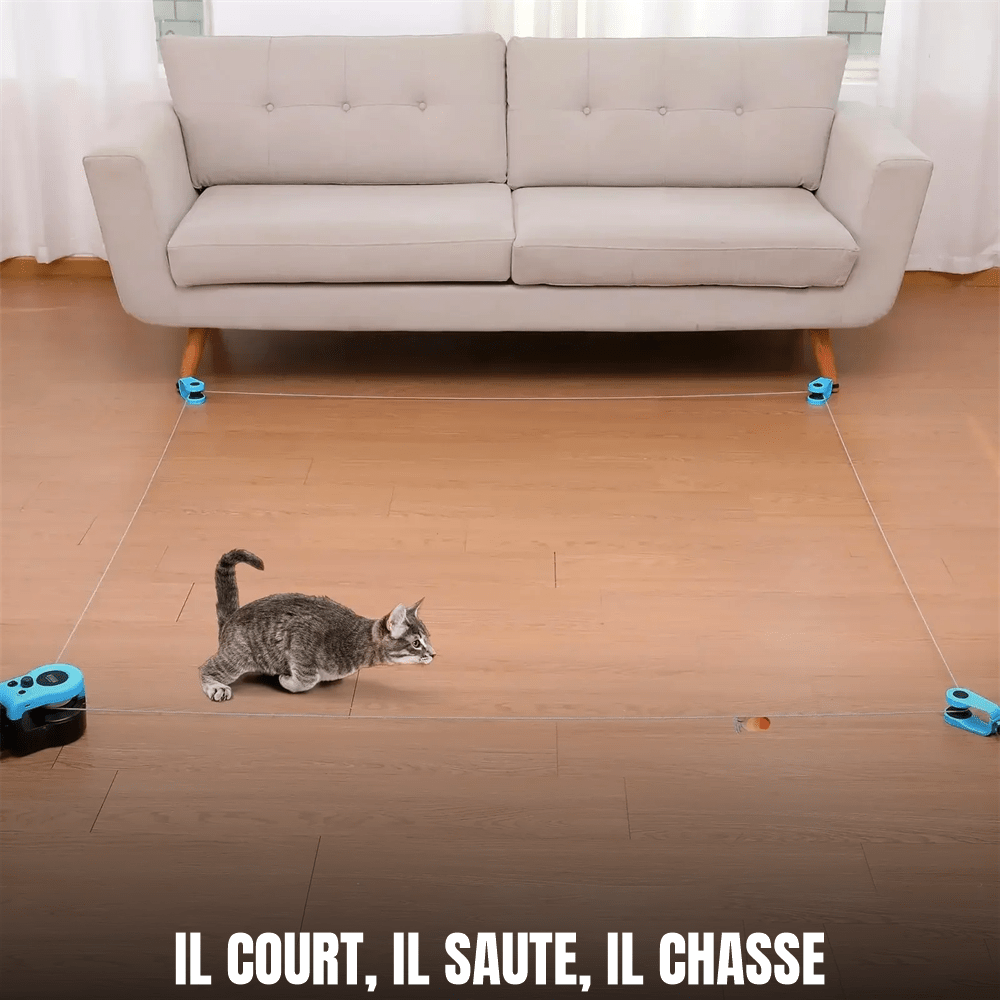 Jouet interactif électrique pour chat à leurre et télécommande | Attrape-Moi Si Tu Peux - Le Palais des Chats