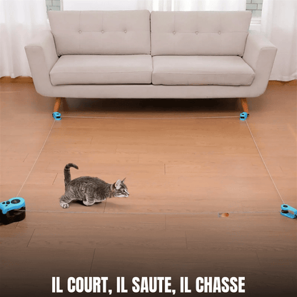 Jouet interactif électrique pour chat à leurre et télécommande | Attrape-Moi Si Tu Peux - Le Palais des Chats