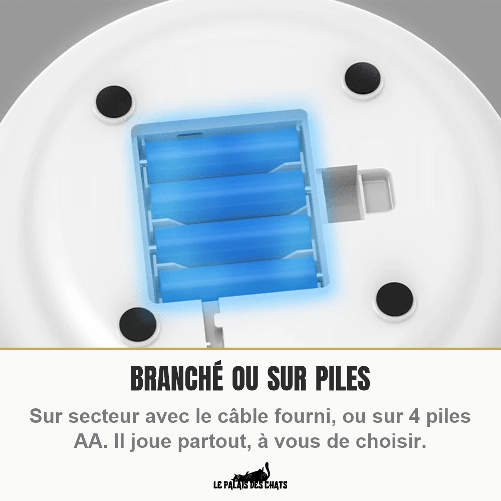 Jouet interactif électronique pour chat, plume et balle | Le Tourbillon Félin - Le Palais des Chats