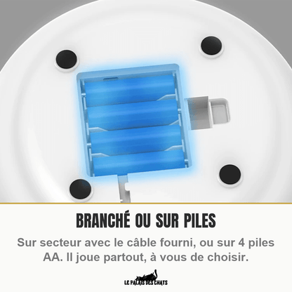 Jouet interactif électronique pour chat, plume et balle | Le Tourbillon Félin - Le Palais des Chats