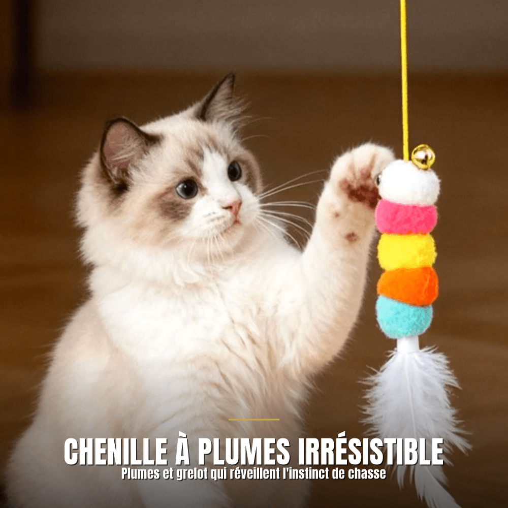 Jouet interactif pour chat | La Chenille Royale - Le Palais des Chats