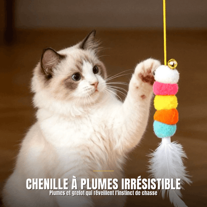 Jouet interactif pour chat | La Chenille Royale - Le Palais des Chats