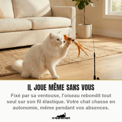 Jouet oiseau à ventouse L'Oiseau Farceur : le chat joue en autonomie même sans vous