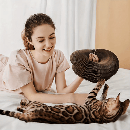 Jouet pour chat | Flexi’Griff - Le Palais des Chats