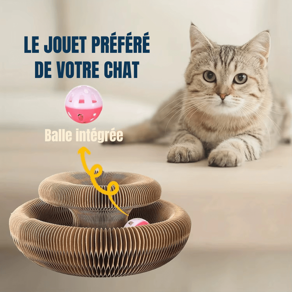 Jouet pour chat | Flexi’Griff - Le Palais des Chats