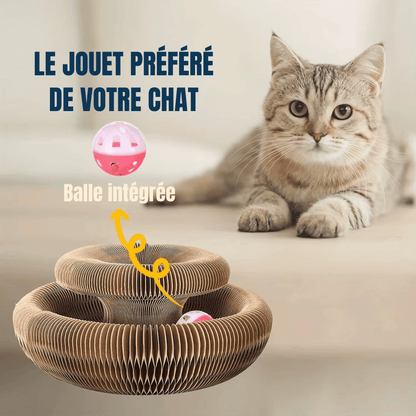 Jouet pour chat | Flexi’Griff - Le Palais des Chats