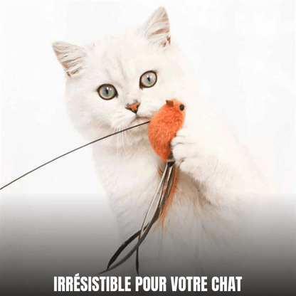 Jouet pour chat interactif à ventouse, oiseau à plumes | L’Oiseau Farceur - Le Palais des Chats