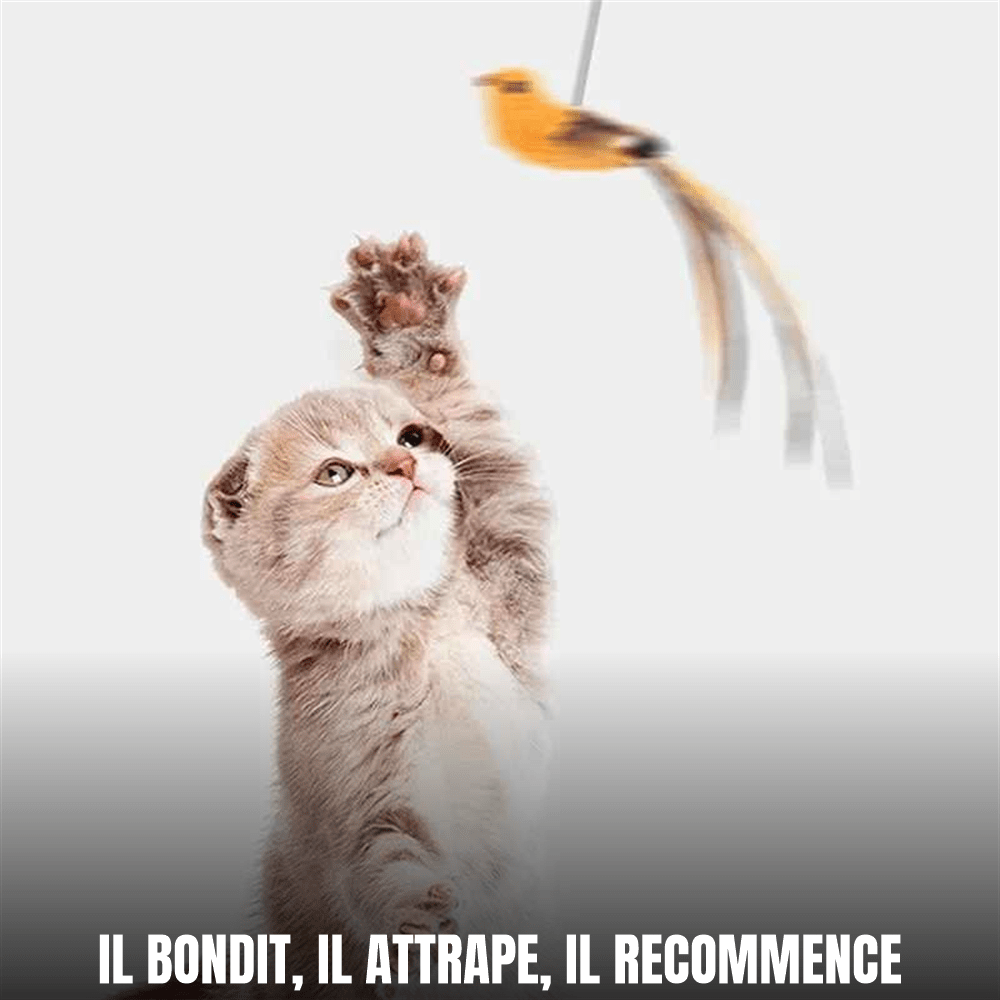 Jouet pour chat interactif à ventouse, oiseau à plumes | L’Oiseau Farceur - Le Palais des Chats