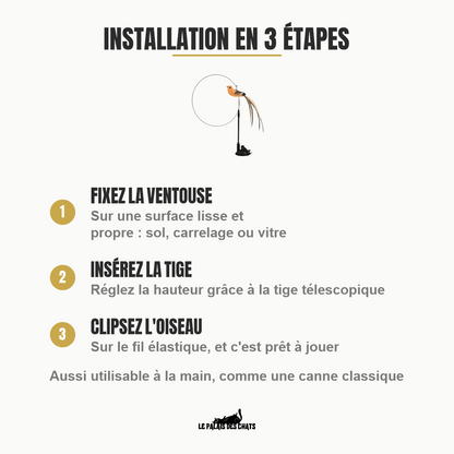 Jouet pour chat interactif à ventouse, oiseau à plumes | L’Oiseau Farceur - Le Palais des Chats