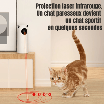Jouet pour chat interactif ROJECO | Laser Royale - Le Palais des Chats
