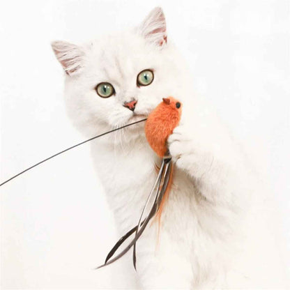 Jouet pour chat | L’Oiseau Farceur - Le Palais des Chats
