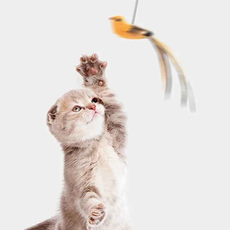Jouet pour chat | L’Oiseau Farceur - Le Palais des Chats