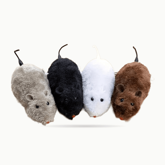 Jouet pour chat | Souris en peluche interactive Ratatouille - Le Palais des Chats