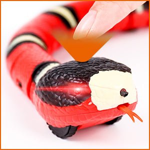 Jouet pour chats - Serpent électronique interactif - Le Palais des Chats