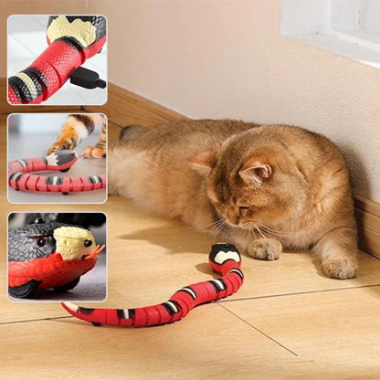 Jouet pour chats - Serpent électronique interactif - Le Palais des Chats