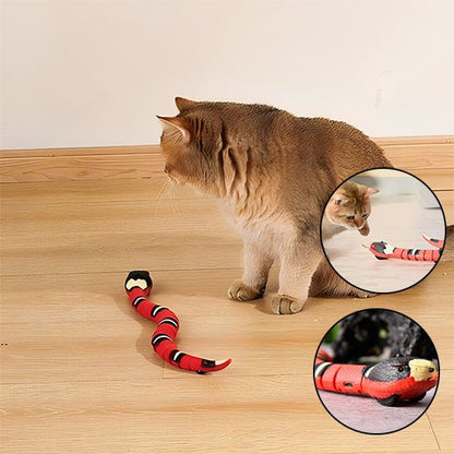 Jouet pour chats - Serpent électronique interactif - Le Palais des Chats