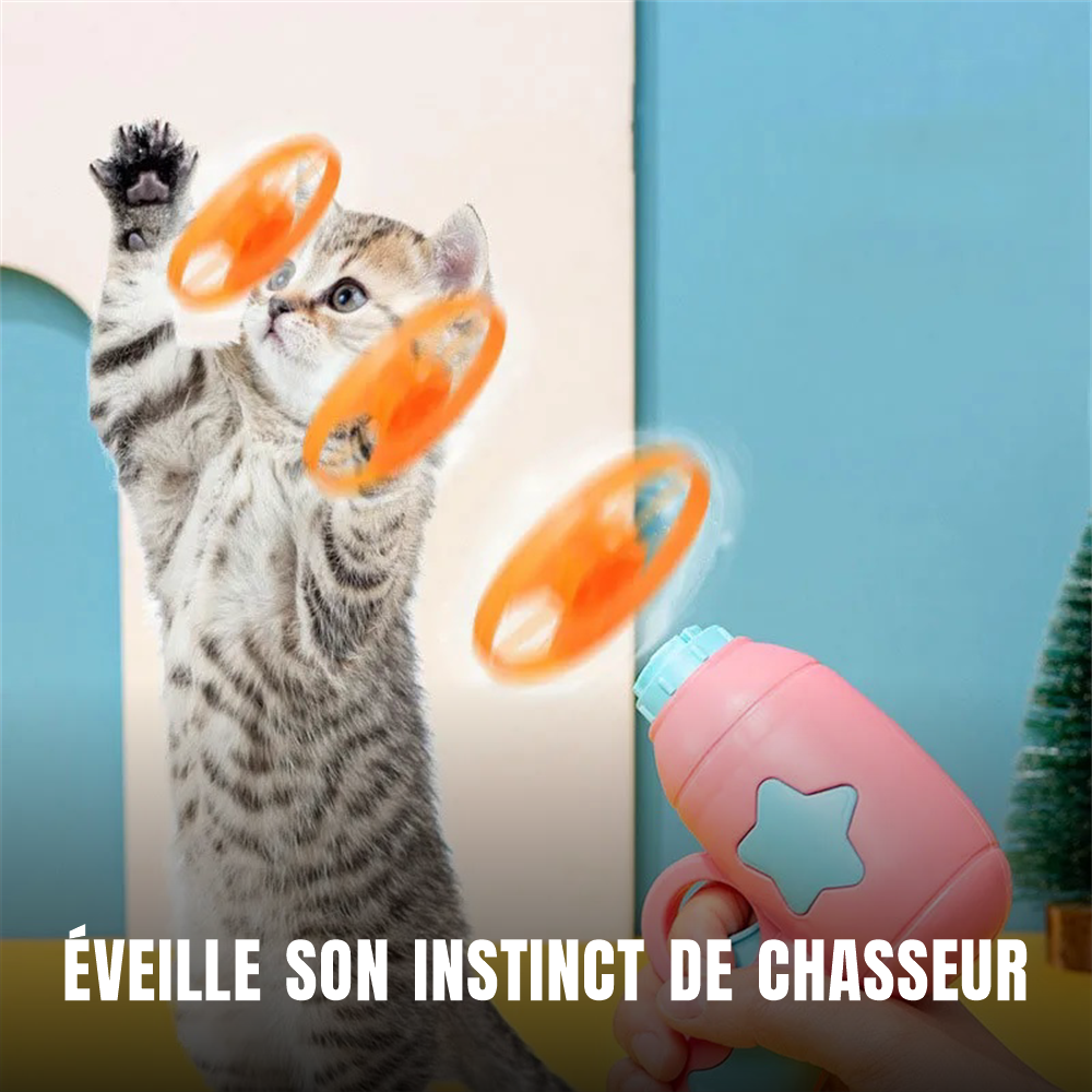 Chat qui bondit sur un disque volant lancé par La Comète Royale