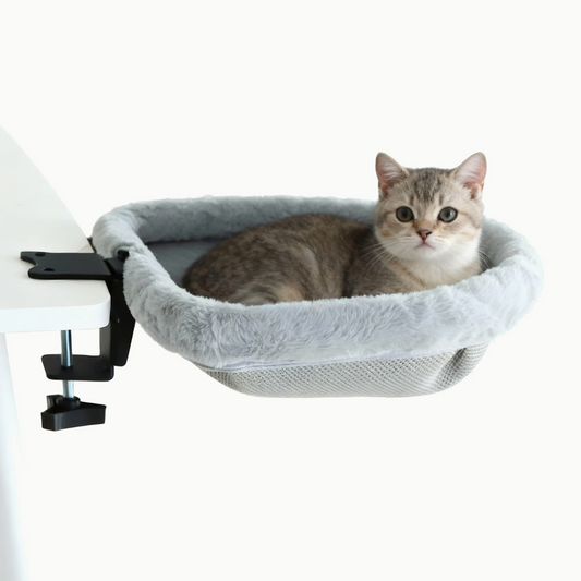 Lit de bureau pour chat pliable La Loge Royale en peluche grise, fixé par pince au bord d'un bureau blanc, chaton tigré couché dedans