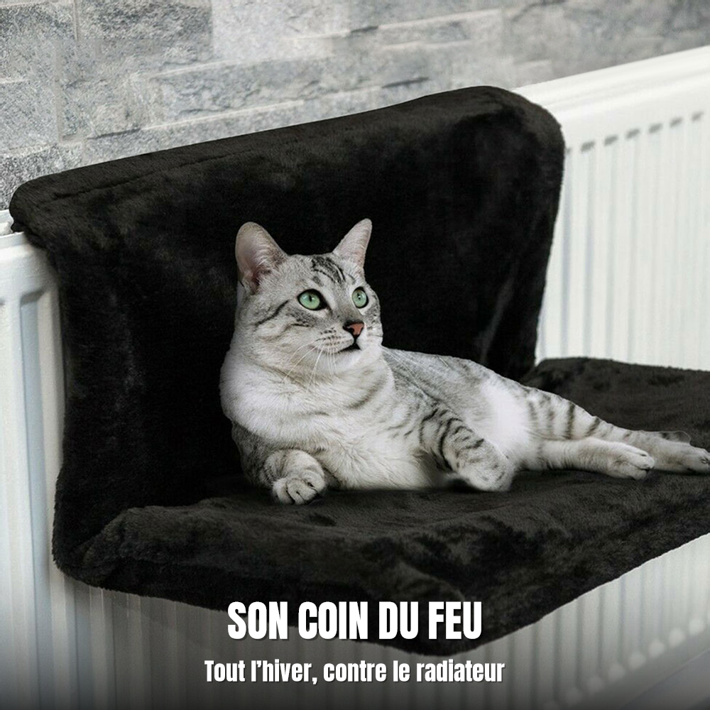 Chat tigré allongé dans le lit de radiateur pour chat L'Âtre Royal en peluche noire, accroché au radiateur : son coin du feu, tout l'hiver