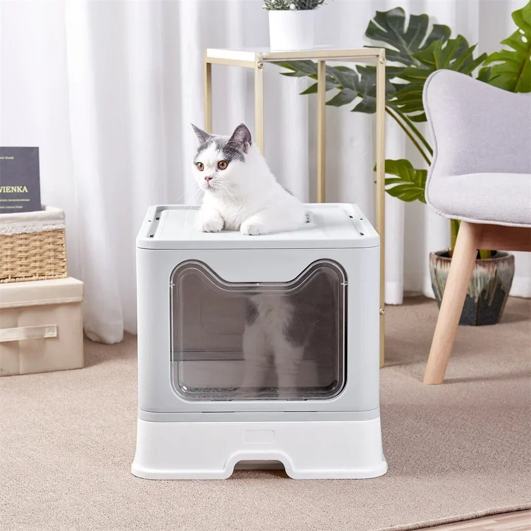 Chat gris et blanc allongé sur le dessus de la maison de toilette fermée, dans un salon