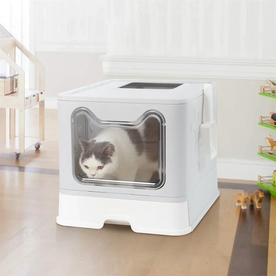 Chat gris et blanc sortant de la maison de toilette par la porte transparente avant