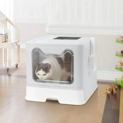 Chat gris et blanc sortant de la maison de toilette par la porte transparente avant
