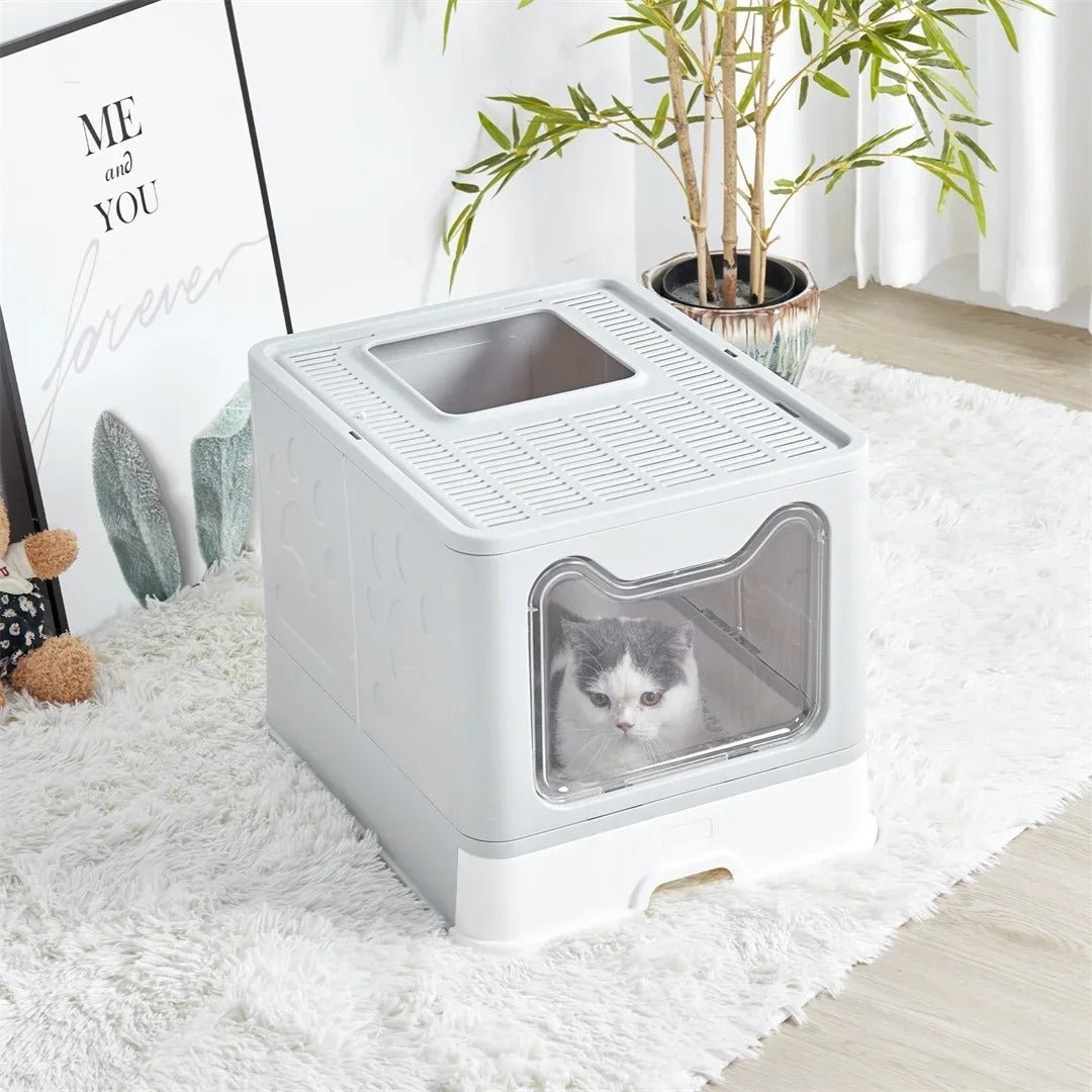 Couvercle ajouré de la maison de toilette avec sa trappe carrée, un chat installé derrière la porte transparente
