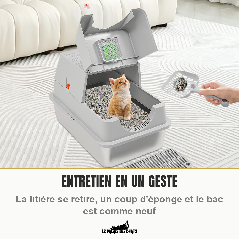 Chaton roux assis dans la litière fermée au couvercle relevé, filtre à charbon visible et main tenant la pelle tamis