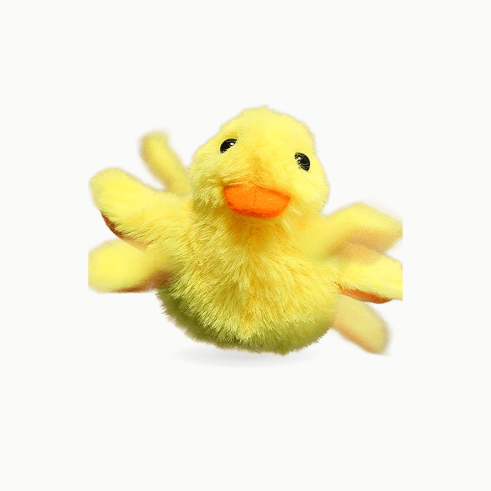 Miaou’Duck™ | Jouet interactif anti-ennui pour chat - Le Palais des Chats