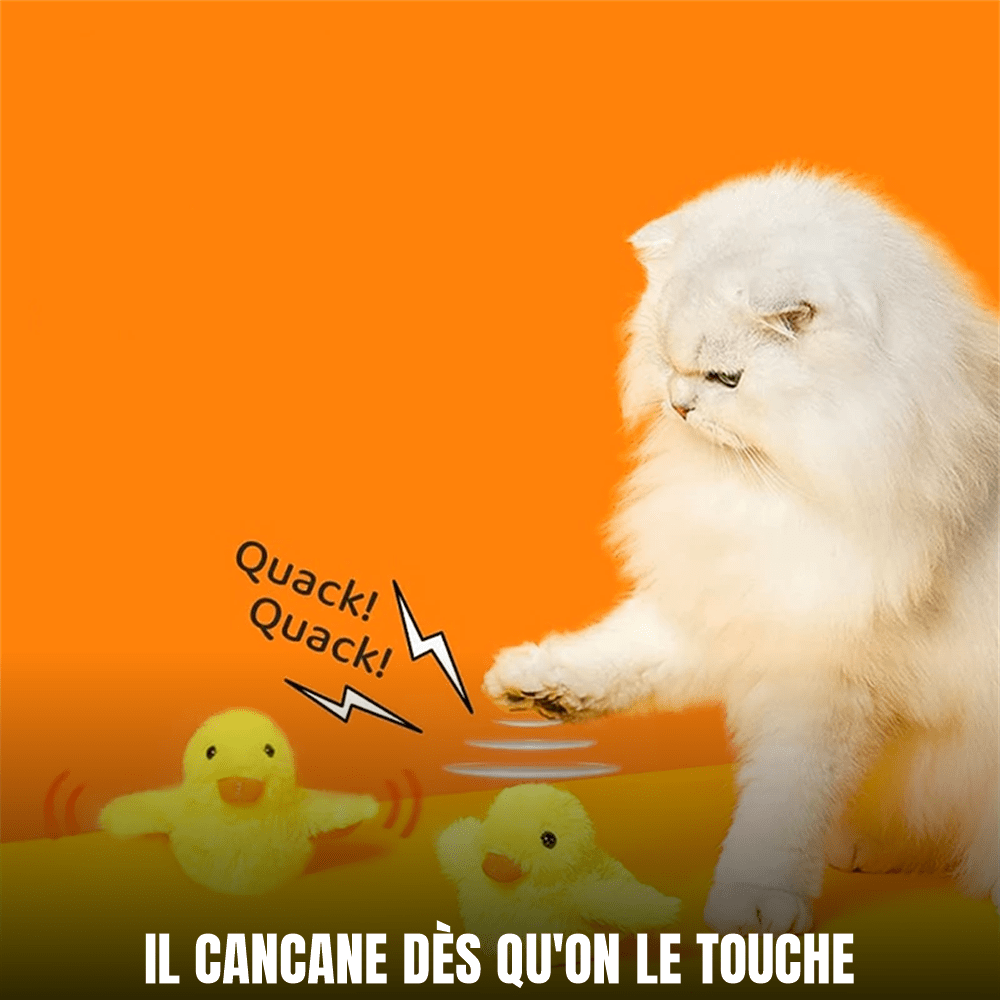Miaou’Duck™ | Jouet interactif anti-ennui pour chat - Le Palais des Chats
